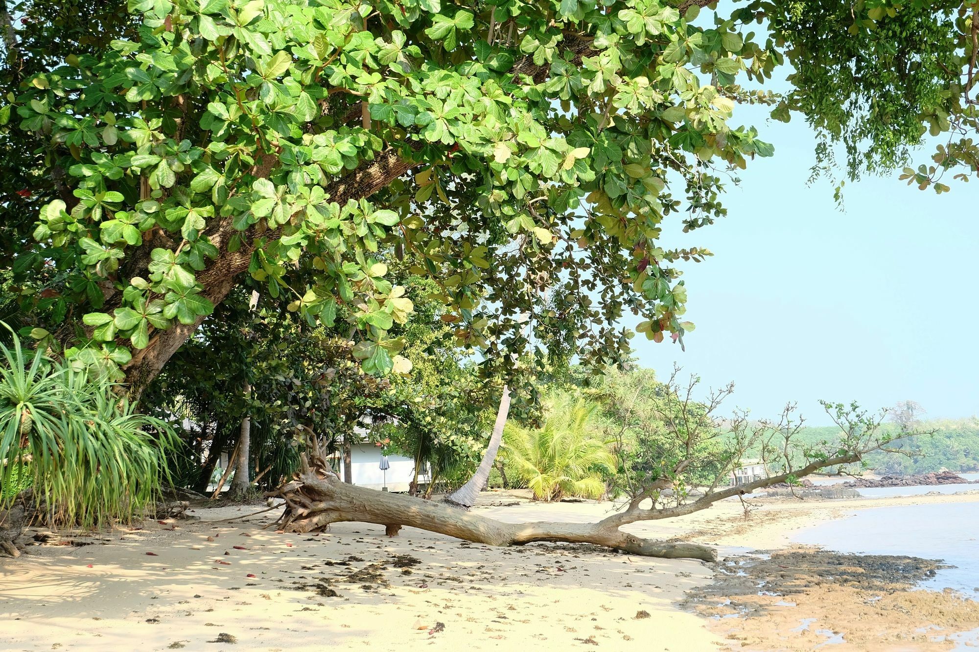 Hotel Plub Pla Koh Mak Retreat Exterior foto